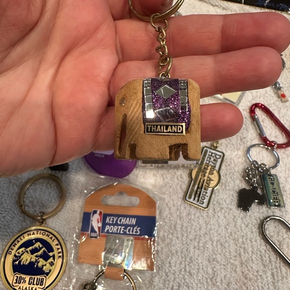 Assorted Keychain Collection - Picture 6 of 7